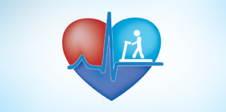 Cardiovascular Exercise - ASSSA English