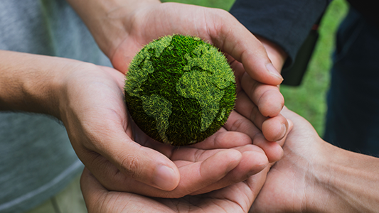 Día Mundial del Medio Ambiente